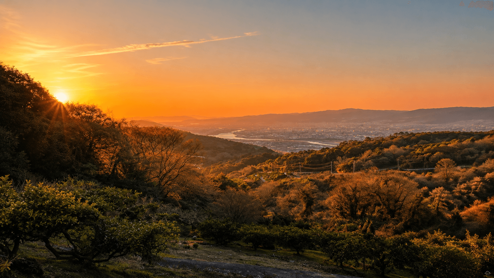 夕暮れの和歌山の丘陵と果樹畑